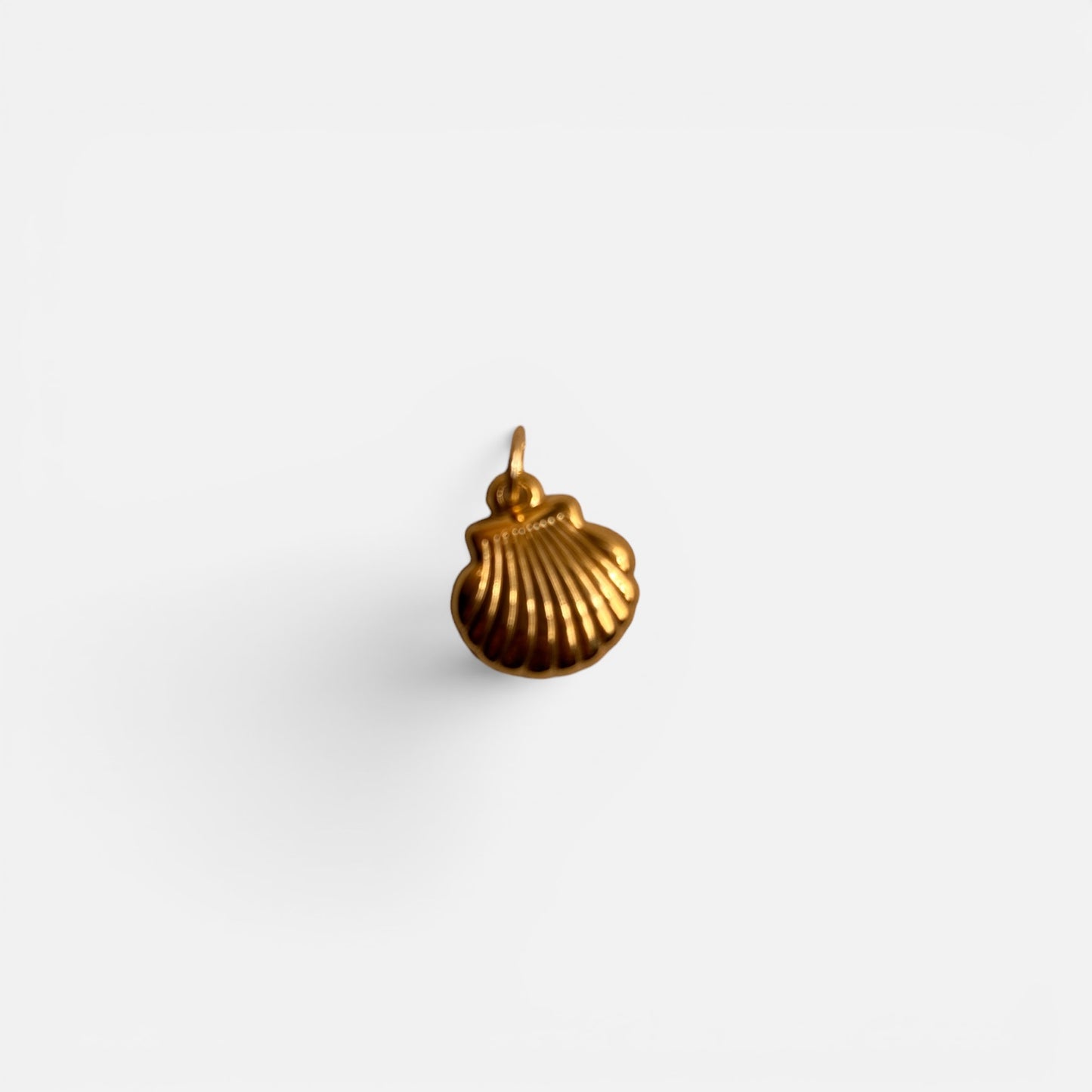 Charm Conchiglia