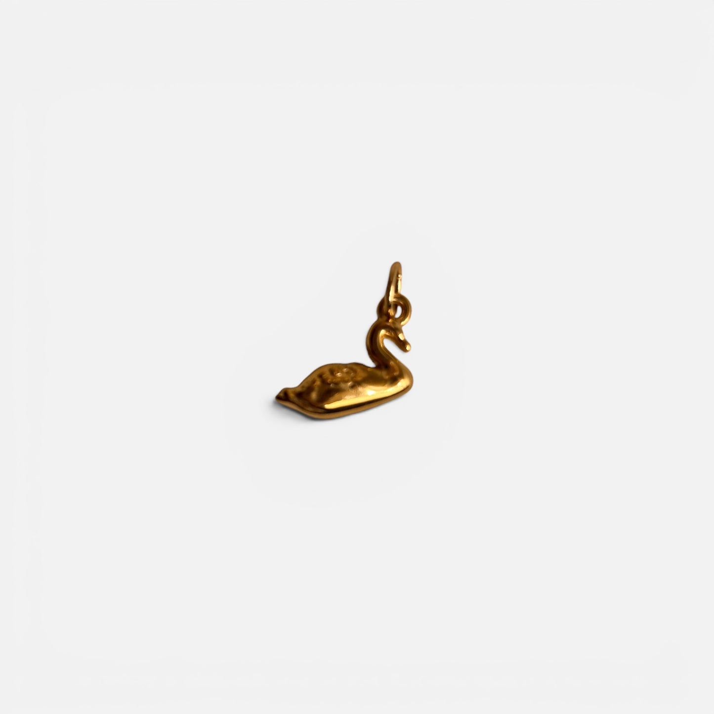 Charm Cigno