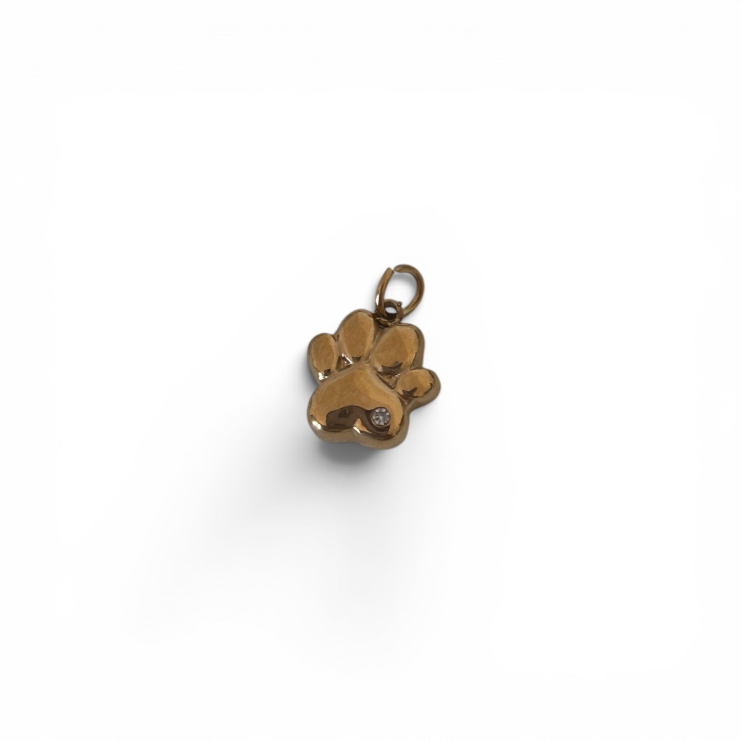 Charm zampetta