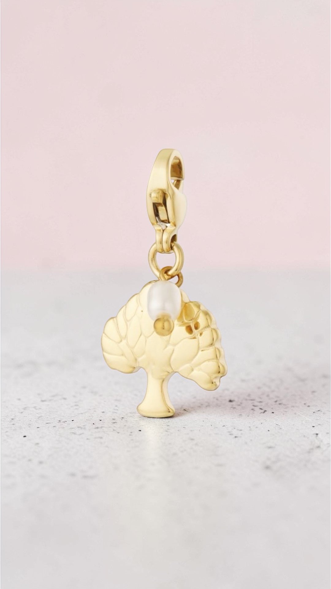 Charm Pumo