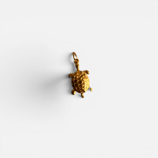 Charm Tartaruga