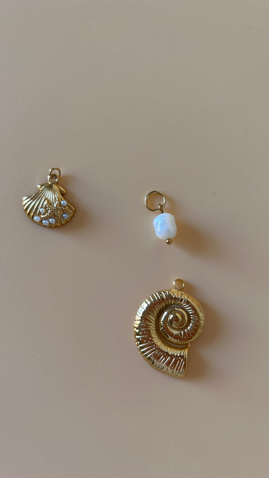 Charm conchiglia preziosa