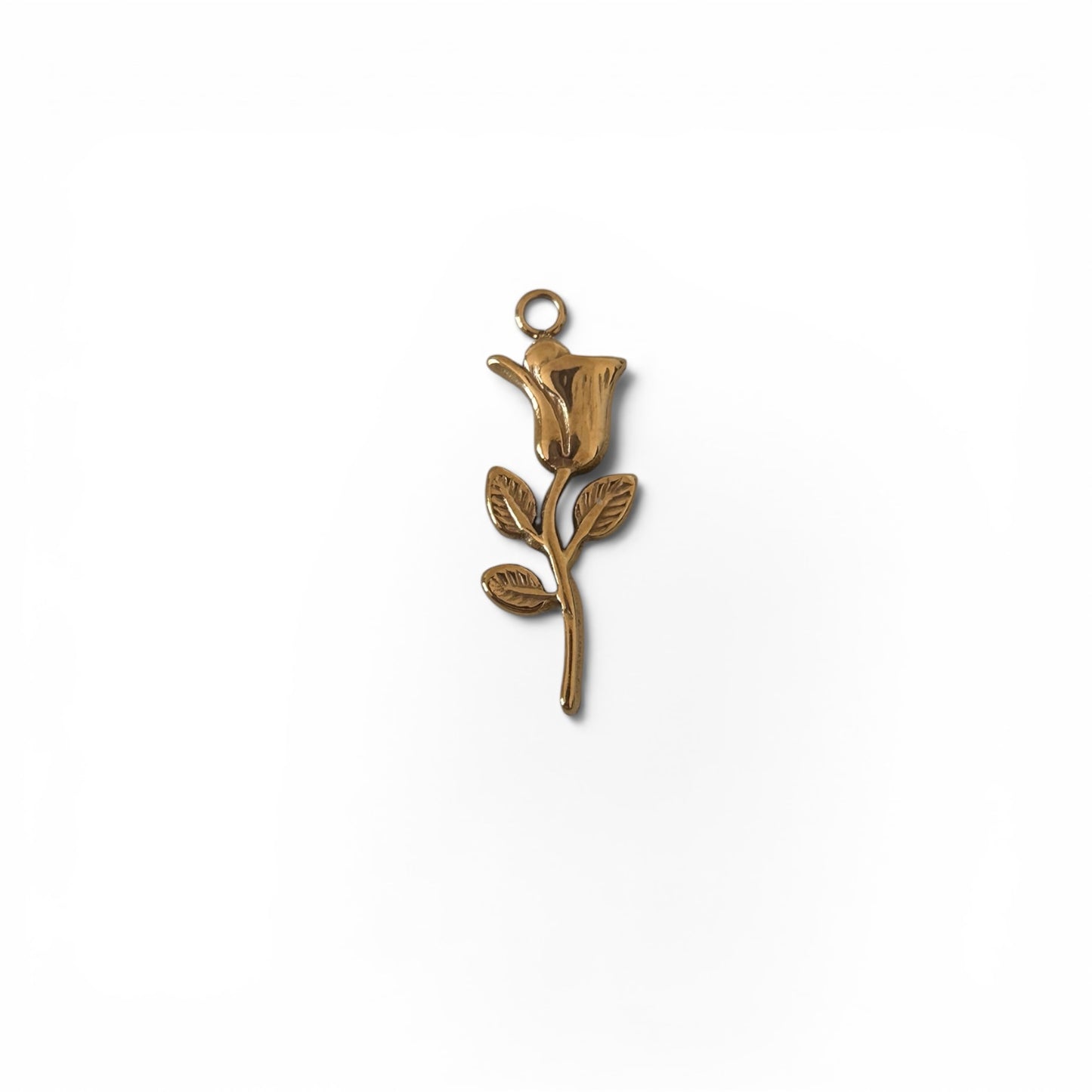 Charm Rifiorire