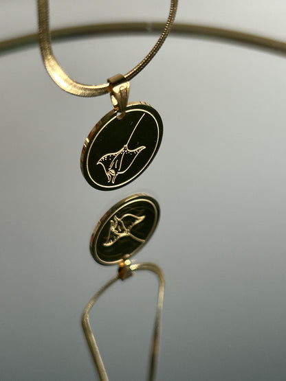 Charm Manta
